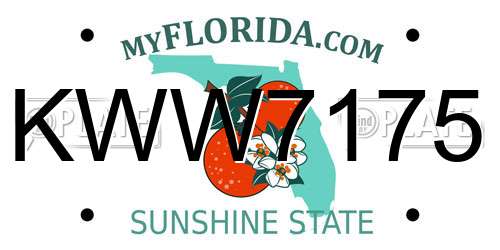 KWW7175 Florida License Plate