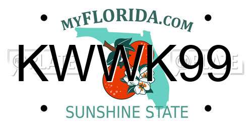 KWWK99 Florida License Plate