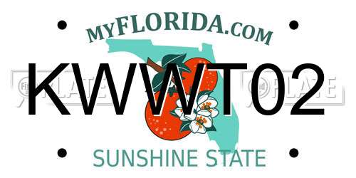 KWWT02 Florida License Plate