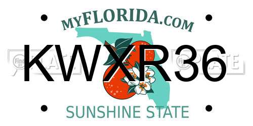 KWXR36 Florida License Plate