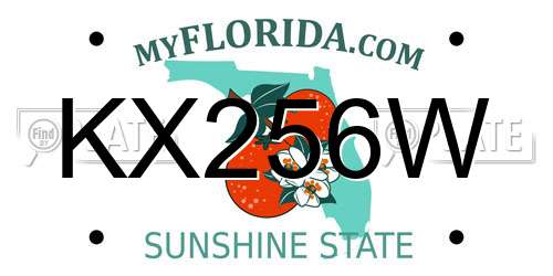 KX256W Florida License Plate