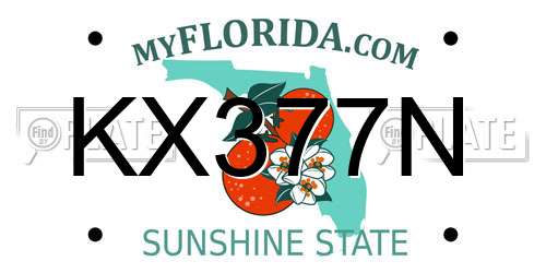 KX377N Florida License Plate