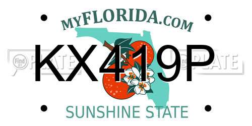 KX419P Florida License Plate