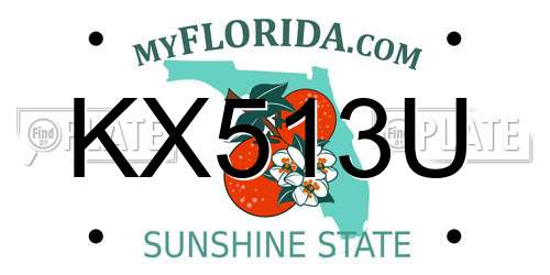 KX513U Florida License Plate