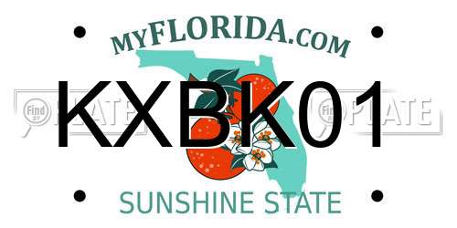 KXBK01 Florida License Plate