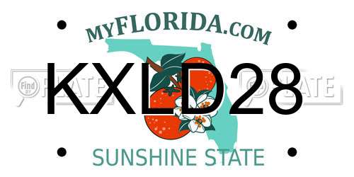 KXLD28 Florida License Plate