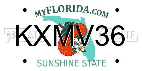 KXMV36 Florida License Plate