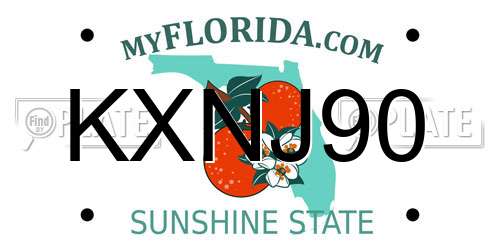 KXNJ90 Florida License Plate