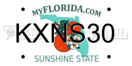 KXNS30 Florida License Plate