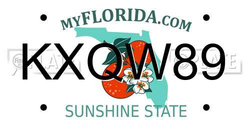 KXQW89 Florida License Plate