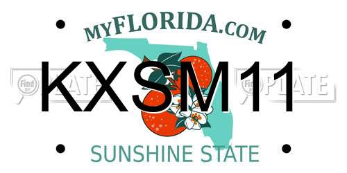 KXSM11 Florida License Plate