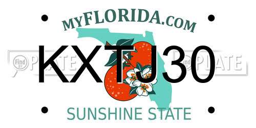 KXTJ30 Florida License Plate