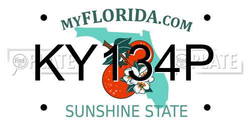 KY134P Florida License Plate