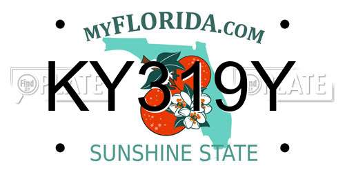 KY319Y Florida License Plate