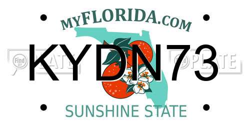 KYDN73 Florida License Plate