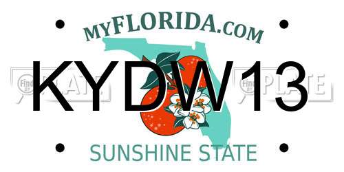 KYDW13 Florida License Plate