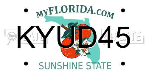 KYUD45 Florida License Plate