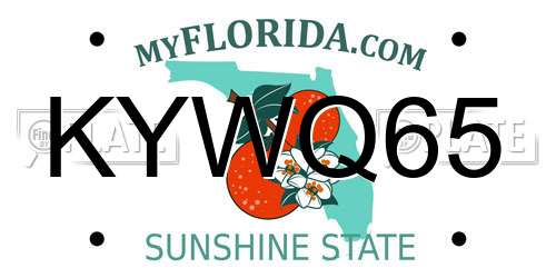 KYWQ65 Florida License Plate