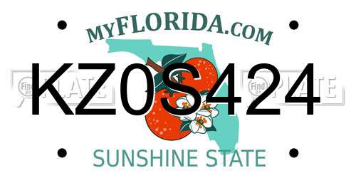 KZ0S424 Florida License Plate