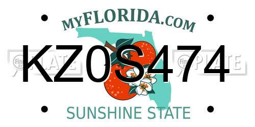 KZ0S474 Florida License Plate