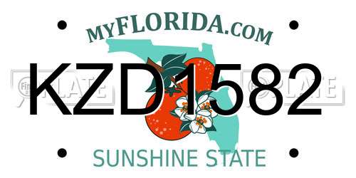 KZD1582 Florida License Plate