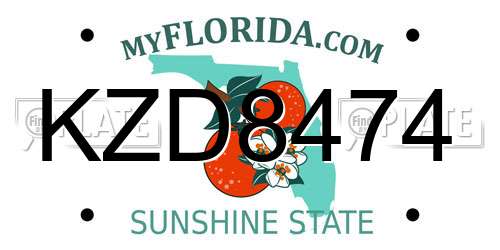KZD8474 Florida License Plate