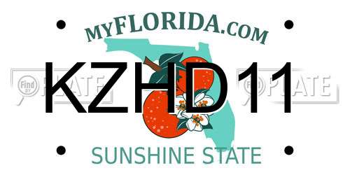 KZHD11 Florida License Plate