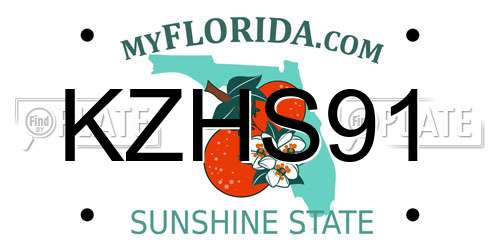 KZHS91 Florida License Plate