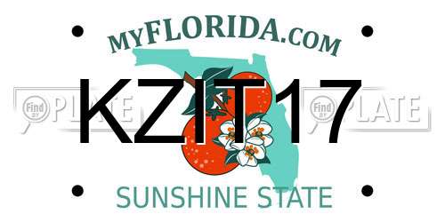 KZIT17 Florida License Plate