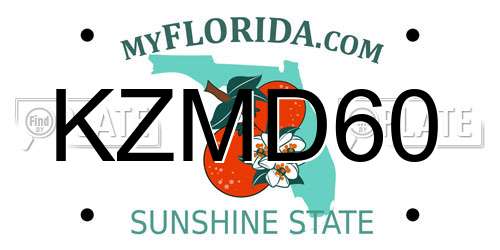 KZMD60 Florida License Plate