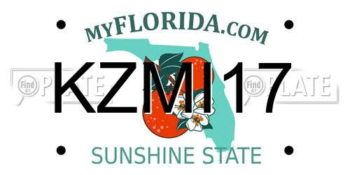 KZMI17 Florida License Plate