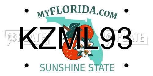 KZML93 Florida License Plate