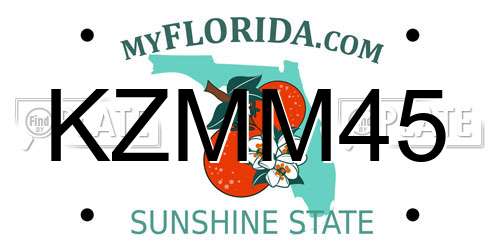 KZMM45 Florida License Plate