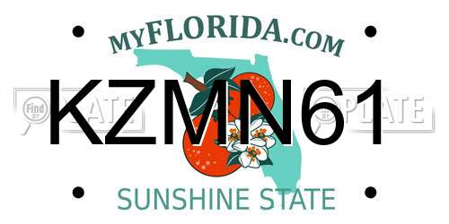 KZMN61 Florida License Plate