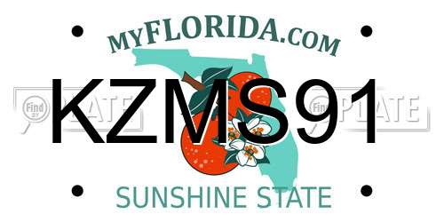 KZMS91 Florida License Plate