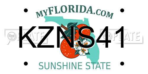 KZNS41 Florida License Plate