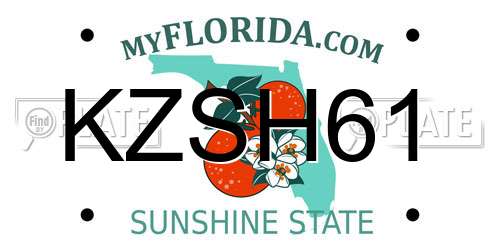 KZSH61 Florida License Plate