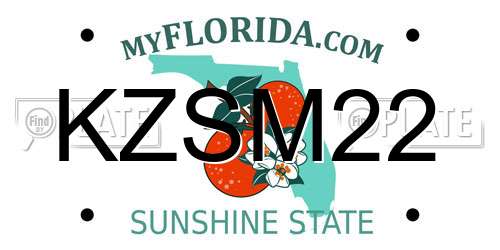 KZSM22 Florida License Plate