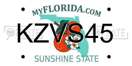 KZVS45 Florida License Plate