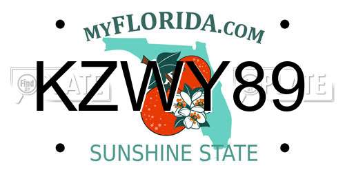KZWY89 Florida License Plate