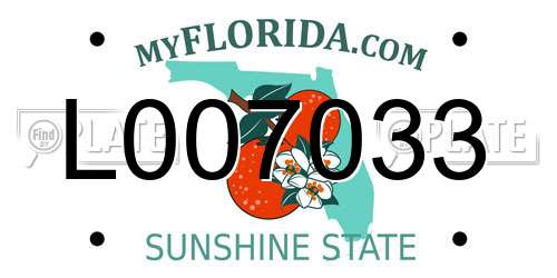 L007033 Florida License Plate