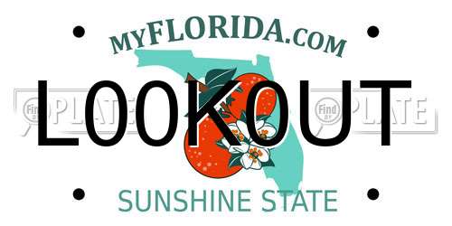 L00K0UT Florida License Plate