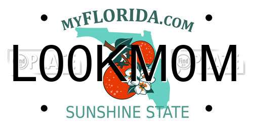 L00KM0M Florida License Plate