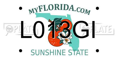 L013GI Florida License Plate