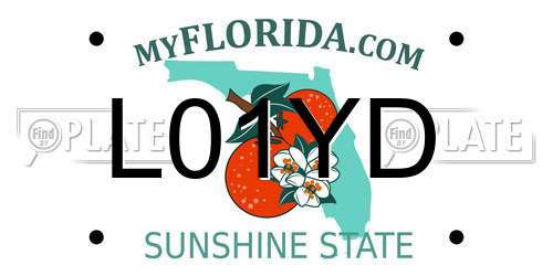 L01YD Florida License Plate