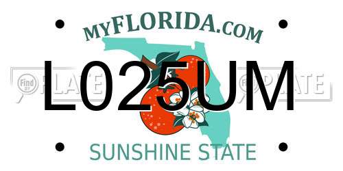 L025UM Florida License Plate