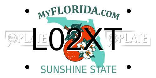 L02XT Florida License Plate