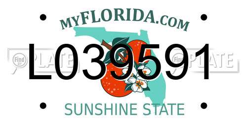 L039591 Florida License Plate