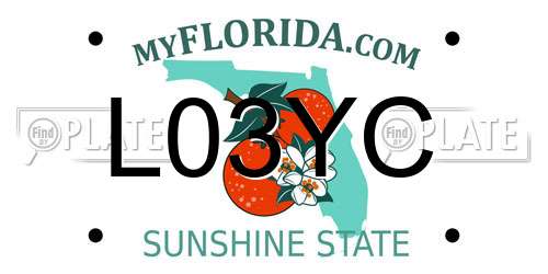 L03YC Florida License Plate