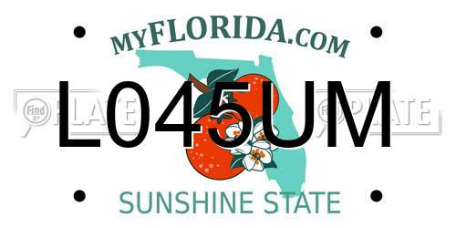 L045UM Florida License Plate